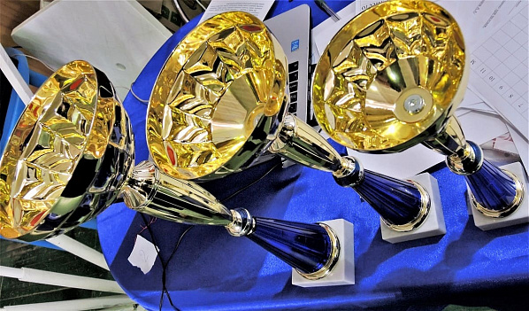 Донская сборная обыграла полмира