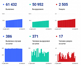 Коронавирус в Ростовской области: статистика на 25 января