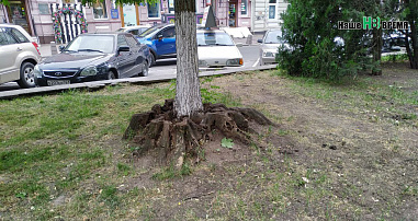 Наблюдения на ростовских улицах