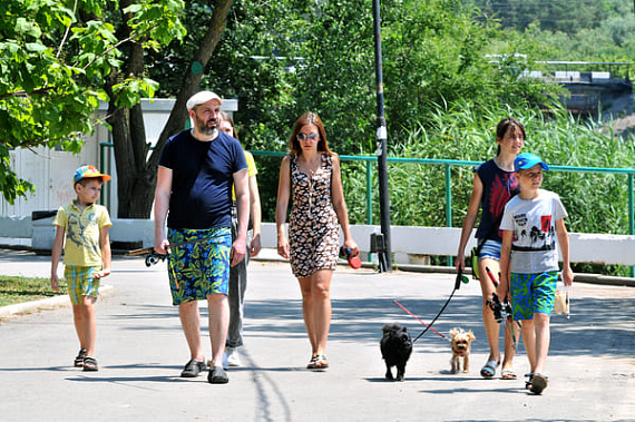 Василий Голубев не исключил отмену ряда ограничительных мер на Дону с 3 июля