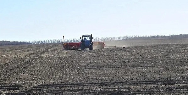 Источник фото:  АГРОXXI.