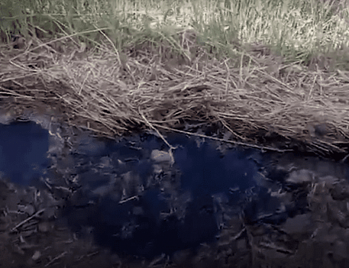 На видеозаписях, сделанных жителями Таганрога в день замора рыбы, видно: промоина вроде как из-за грунтовых вод имела явно неестественный характер.