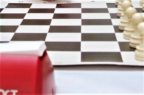 Сегодня в Ростове завершился чемпионат ЮФО по шахматной классике среди женщин