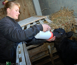 Не хлебом единым