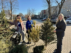 Вы уже убрали ёлку? Нет? Предлагается дать ей вторую жизнь!