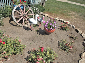 Конь, медведь и гусь от Галины