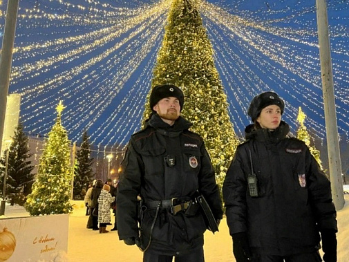 Дед Мороз и Снегурочка переоделись?... Источник фото: МВЛ.