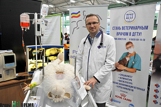 Победителям – награды, детям – торт