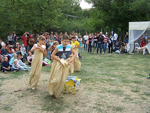 Дельфин над Танаисом