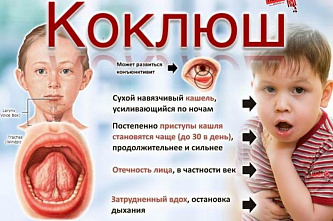 На Дону заболеваемость коклюшем выросла в минувшем году в 20 раз