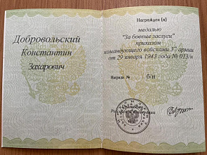 Пожилая ростовчанка получила боевую награду отца