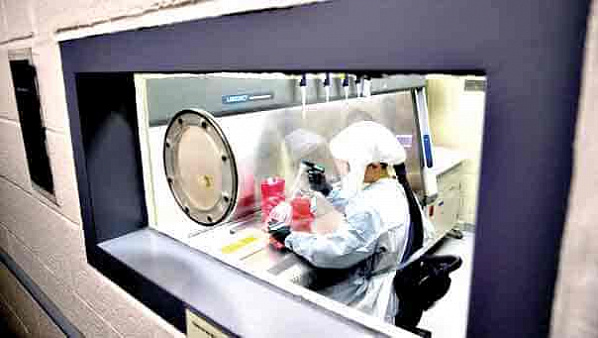 Коронавирус можно полностью заблокировать