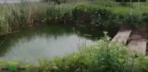 Естественный водоем вблизи планируемого места застройки в проектной документации будущего завода обозначен, как сухая балка. Естественный водоем вблизи планируемого места застройки в проектной документации будущего завода обозначен, как сухая балка.