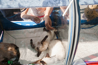 Вы помогли, спасибо!