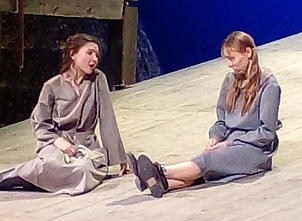 В Ростове показали премьеру спектакля «Сестра, подруга и жена»