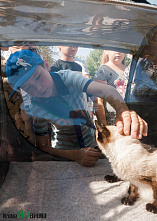 Вы помогли, спасибо!