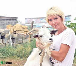 Через тернии... к сыру