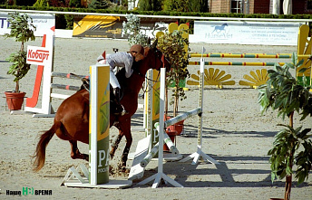 На Дону прошел всероссийский турнир по конному спорту