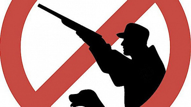 В последний день уходящего года на Дону введут запрет охоты на дичь