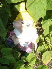 «Ласточка» и ее домовые