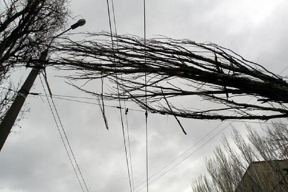 В Ростове после непогоды ликвидировали одно подтопление и убрали 6 упавших деревьев