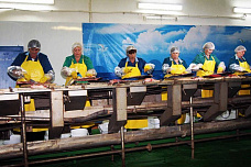 Не собираемся останавливаться_16709