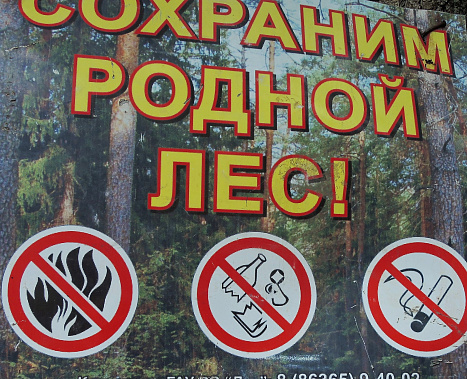   Весна «разбудила» ландшафтные пожары 