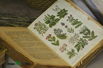 Профессору Богораз