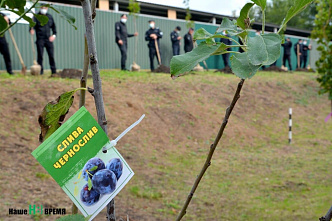 Ростовские ОМОНовцы высадили деревья