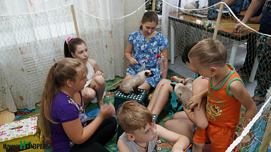 Опыт удался. Надо повторить!