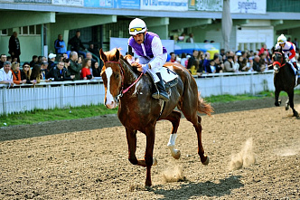 На ипподроме начали принимать ставки