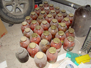 В тихой заводи