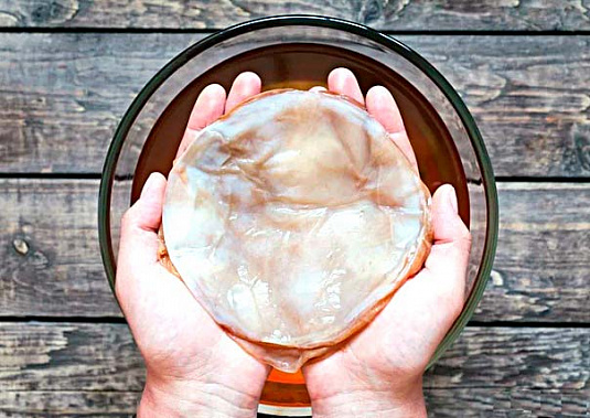 Чайный гриб залечит раны