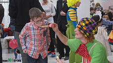 Как кошки-крошки год Собаки встречали