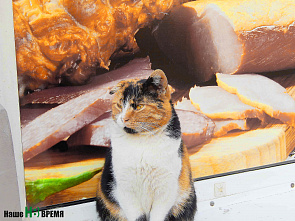 Погуляем, поснимаем – 5