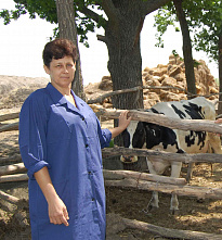 От поля до прилавка