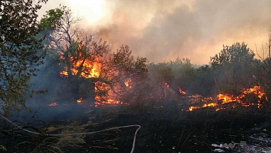 На Дону за сутки отмечено 27 ландшафтных пожаров