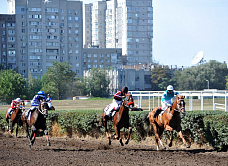 Скачки на Кубок губернатора