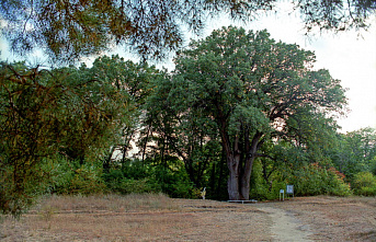 Вешенская, как и Париж, стоит мессы