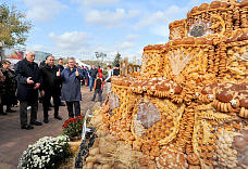 В донской столице отпраздновали День урожая