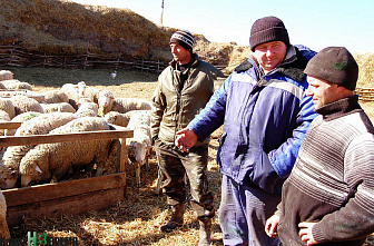 Не хлебом единым