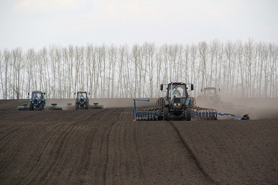 Весенне-полевые работы на Дону. Источник фото: forpost-sevastopol.ru