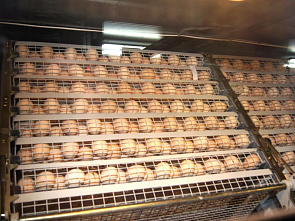 Будем строить «Любовь»_7516