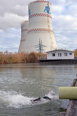 Более 700 миллионов рублей направила Ростовская АЭС на природоохранные мероприятия в 2022 году 