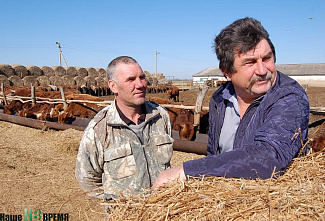 Не хлебом единым