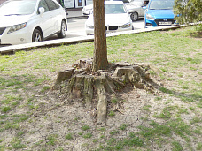 Погуляем, поснимаем – 6