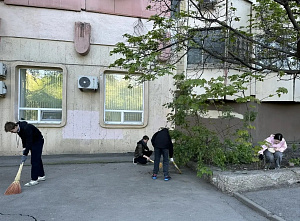 Дворы у домов ветеранов стали чистыми и ухоженными