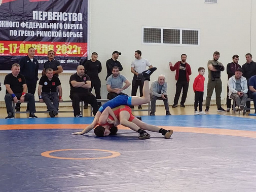 Донские борцы на первенстве ЮФО завоевали 13 медалей