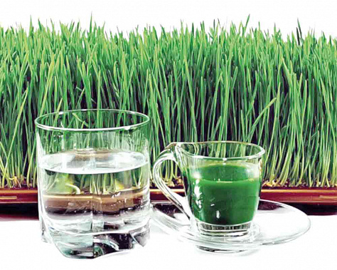 Полезные напитки