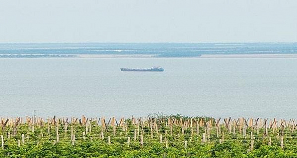 Фото сайта wineholidays.ru
